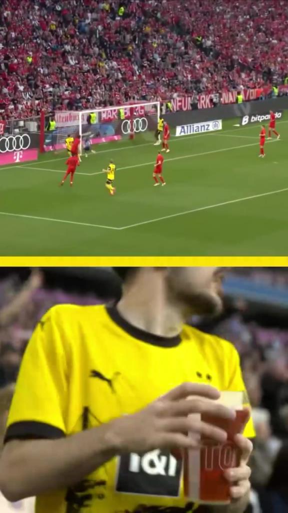 勇者無(wú)懼！這是真多特球迷！在拜仁球迷區(qū)一個(gè)人肆意慶祝！